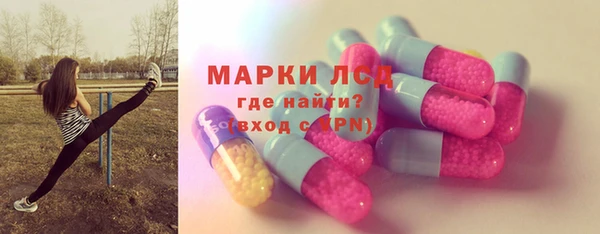 гашик Алексин