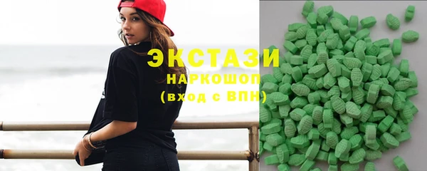 гашик Алексин