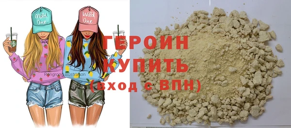 гашик Алексин