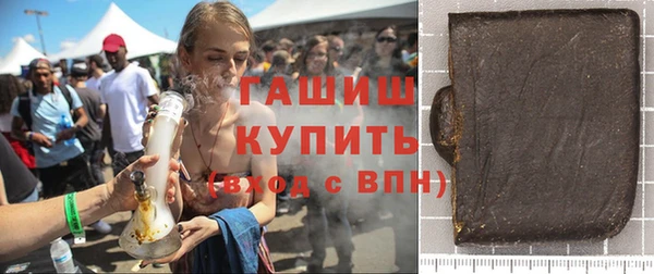 гашик Алексин