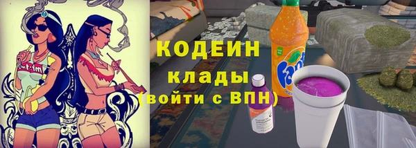 гашик Алексин