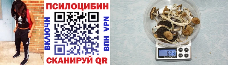 Псилоцибиновые грибы Cubensis  наркотики  Сасово 